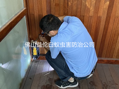 南海保利紫山花园除白蚁