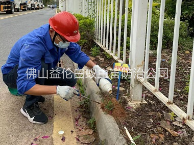 顺德红火蚁防治工程