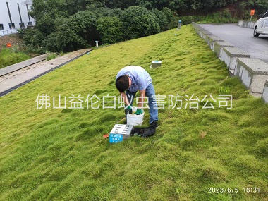 南海水利堤坝鼠害防控工程