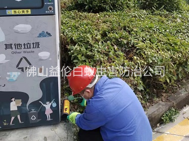 南海区施药灭鼠工程